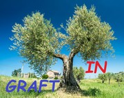 Immagine utente